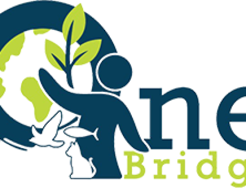 Taking the Stage Early: Presenting Our Work at the European One Health Nexus Conference